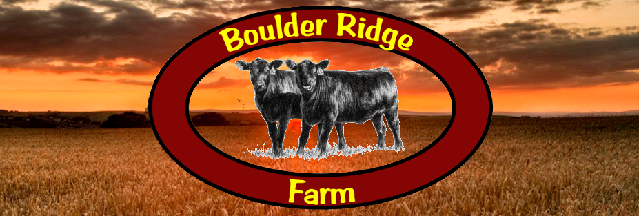 Boulder Ridge Farm