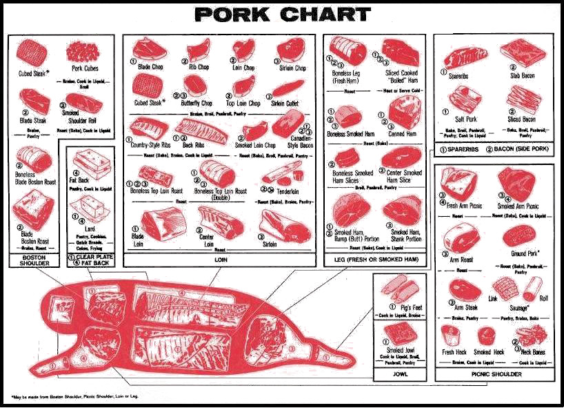 Cuts Of Hog Chart